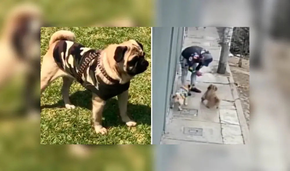 Foto: Captura/ Latina.