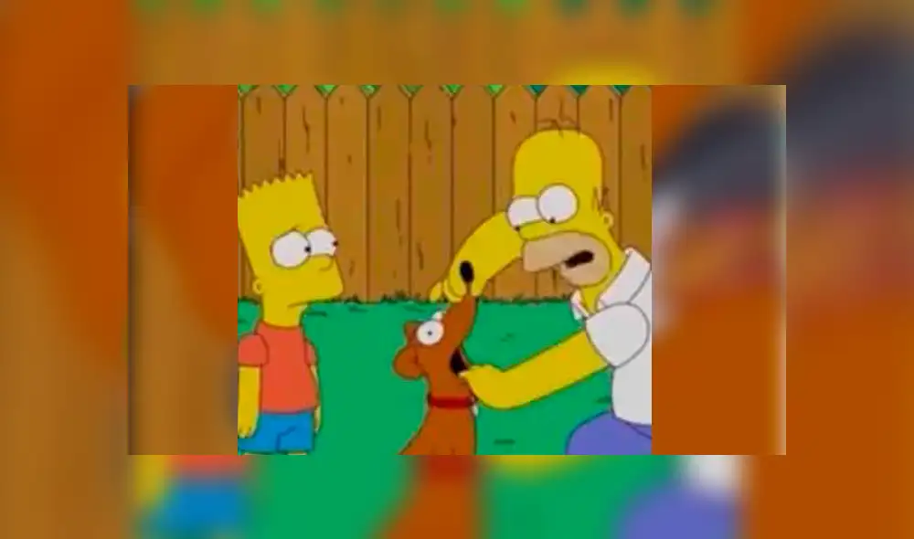 Facebook: ¿Los Simpsons predijeron la muerte del "Chimuelo? Imágenes asombran al mundo