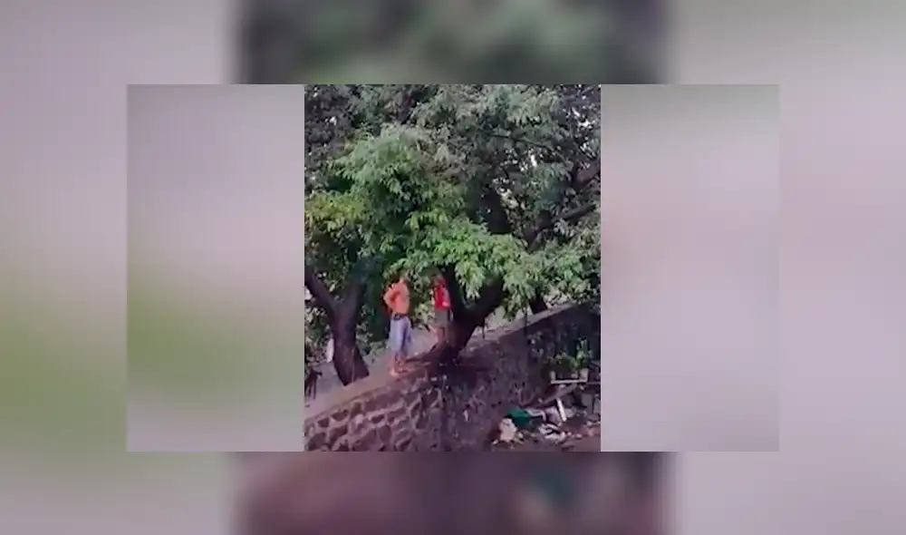 Desliza hacia la izquierda para ver el momento en que el hombre interfiere en la batalla de dos enormes serpientes en Filipinas. El video es viral en YouTube.