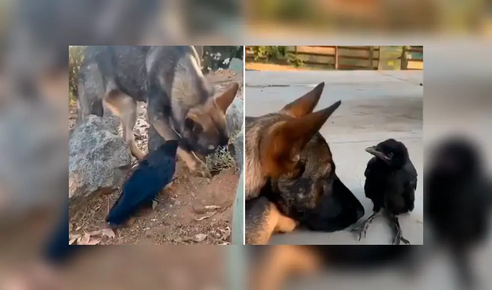 Desliza para ver los momentos más emotivos del video que se hizo viral en YouTube. Desliza para ver los momentos más emotivos del video que se hizo viral en YouTube.