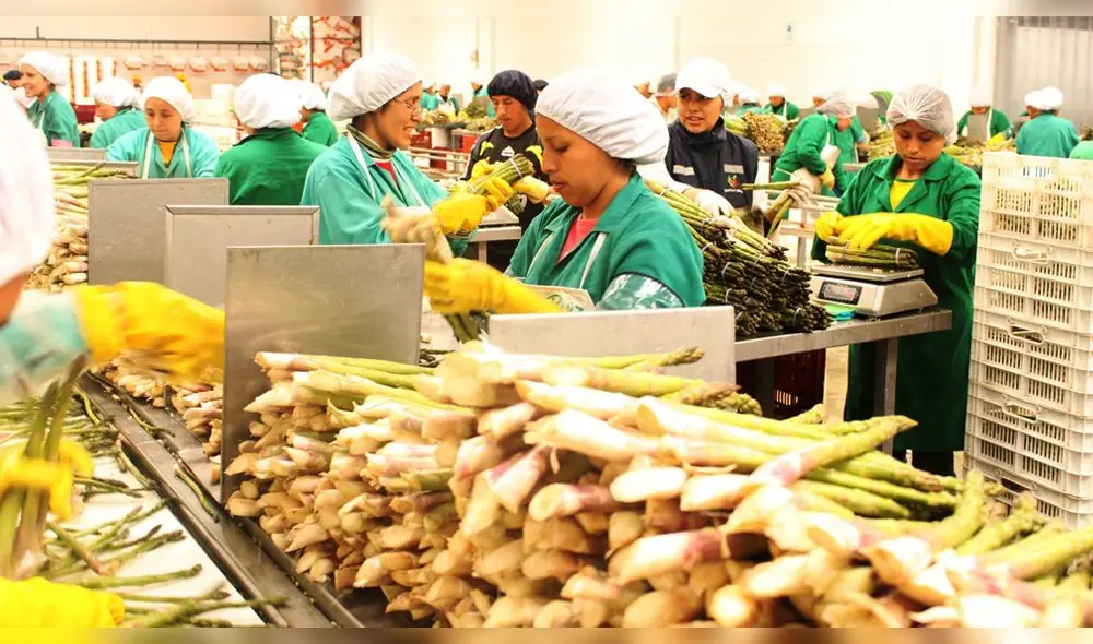 Exportaciones Exportaciones