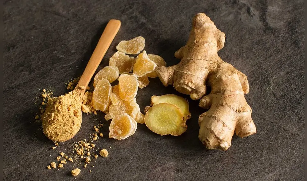 Kión o Jengibre Foto: Adobe Stock