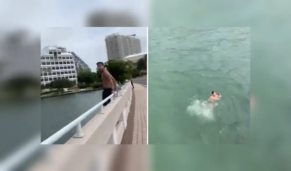 A través de YouTube se hizo viral el momento en que un joven se lanza a un río para salvar a un perro.
