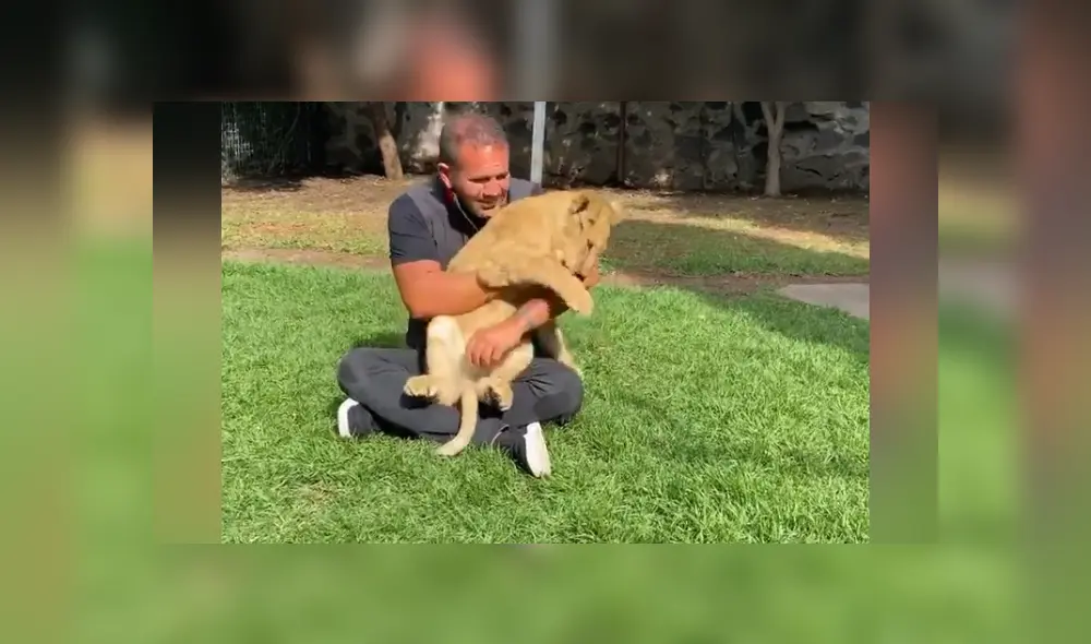 Desliza hacia la izquierda para ver las imágenes del viral de Youtube. Foto: Captura. Desliza hacia la izquierda para ver las imágenes del viral de Youtube. Foto: Captura.