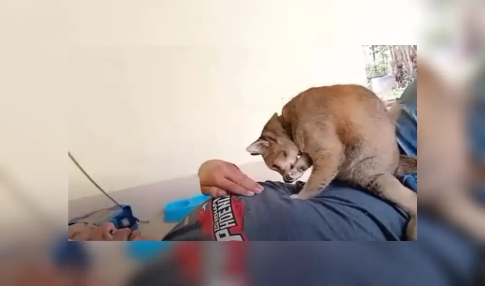 Desliza hacia la izquierda para ver más del video viral