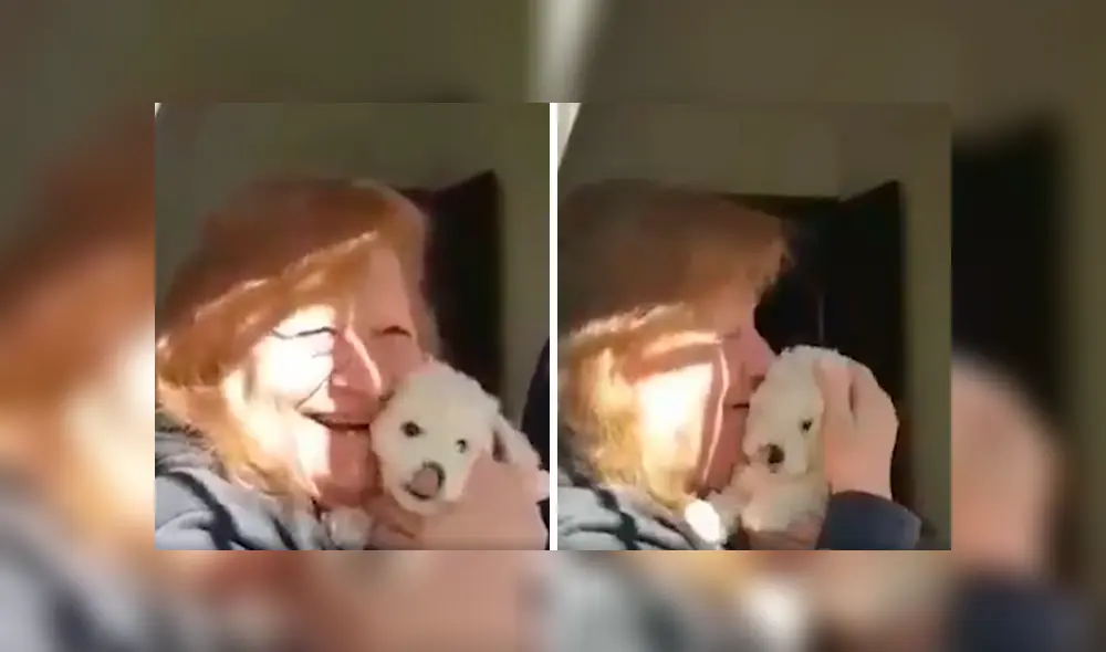 Desliza las imágenes para apreciar el tierno obsequio que recibió una anciana durante el aislamiento social. Fotocaptura: Clarín. Desliza las imágenes para apreciar el tierno obsequio que recibió una anciana durante el aislamiento social. Fotocaptura: Clarín.