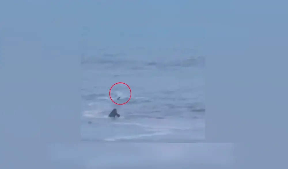 Desliza para ver más del video viral Desliza para ver más del video viral