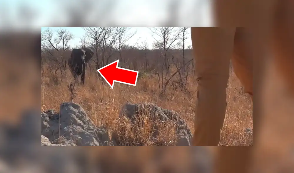 Si quieres ver lo que pasó con los turistas del video viral de YouTube, revisa la galería de fotos deslizando cada imagen hacia la izquierda.