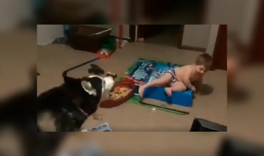 Desliza hacia la izquierda para ver la conmovedora escena del viral de Facebook.