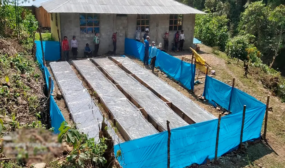 Comenzó la siembra de semillas en germinaderos. Foto: Gore Puno. Comenzó la siembra de semillas en germinaderos. Foto: Gore Puno.