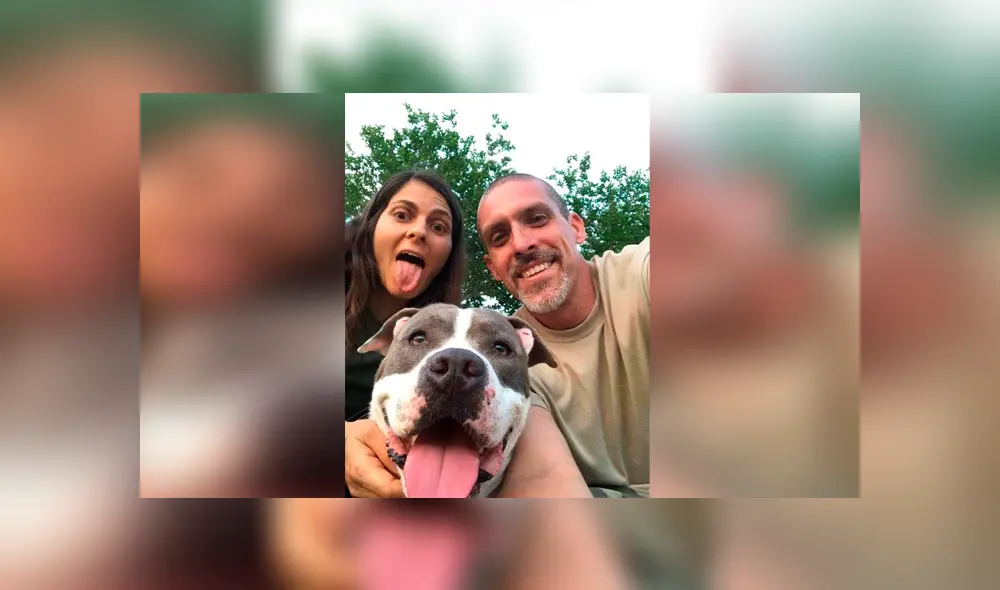 Desliza las imágenes para apreciar la conmovedora celebración de los trabajadores al enterarse sobre la adopción de los animales. Desliza las imágenes para apreciar la conmovedora celebración de los trabajadores al enterarse sobre la adopción de los animales.