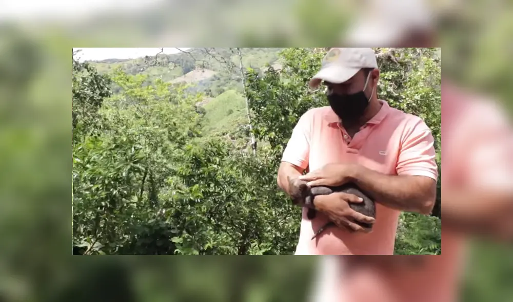 El hombre vio al animal desamparado y no tuvo mejor idea que llevarlo a su casa para cuidarlo. Foto: Facebook