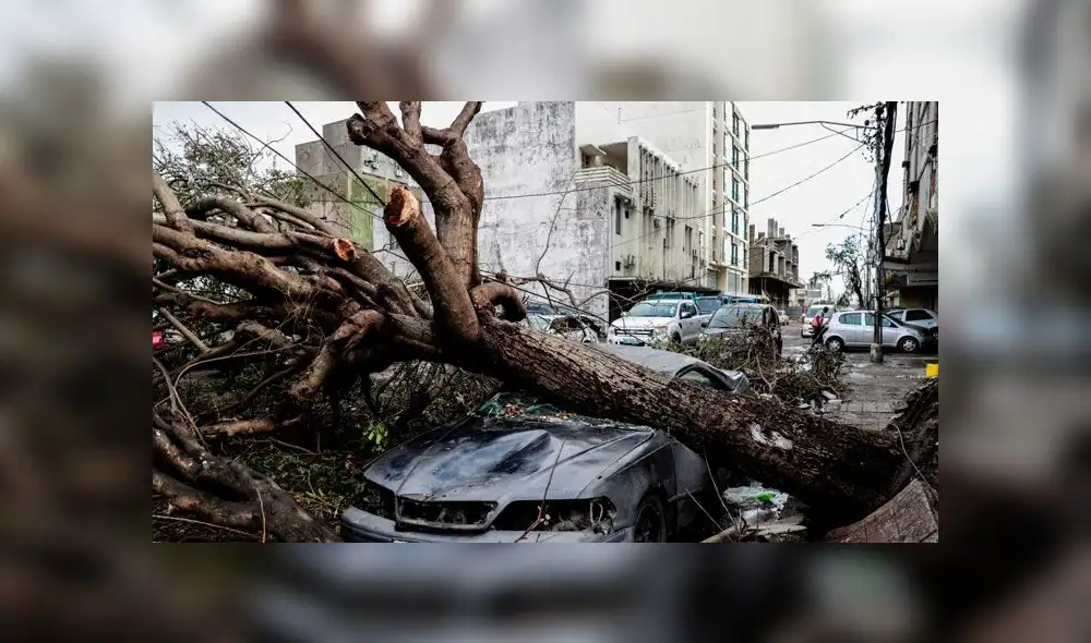 África: Ciclón Idai deja 670 muertos en Mozambique y Zimbabue [FOTOS]