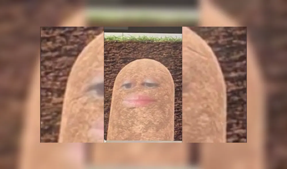 Desliza hacia la izquierda para ver más del viral Desliza hacia la izquierda para ver más del viral