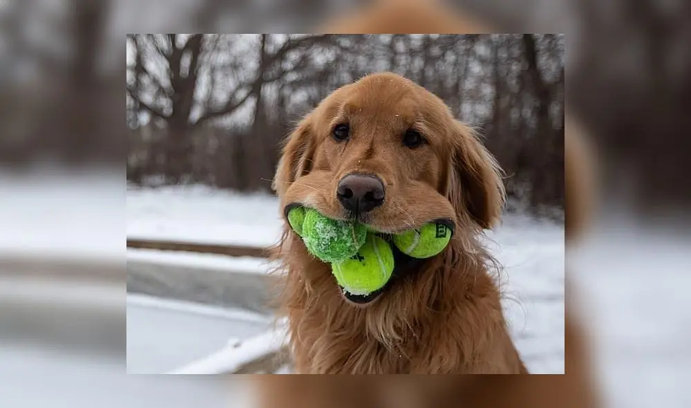 Finley batió el récord mundial que estaba vigente desde el 2003. (Foto: Mail Online)