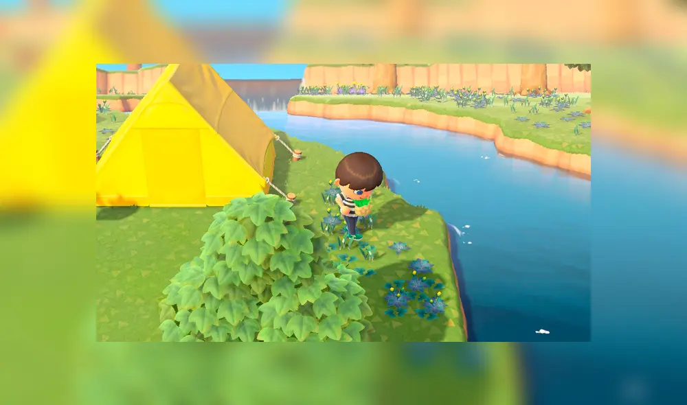 Los jugadores pueden cosechar sus propios insumos para venderlos luego.