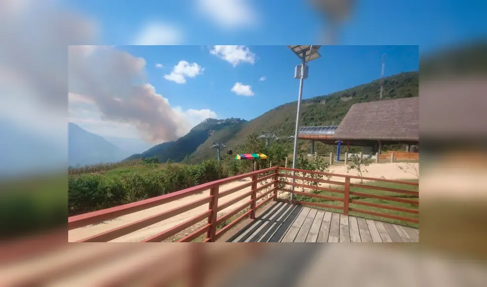 Gobernador de Amazonas informó que el incendio forestal en el distrito del Tingo ha sido controlado. Foto: La República