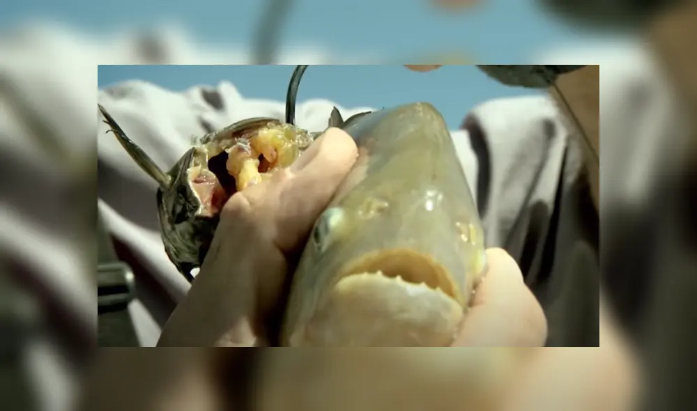 Desliza hacia la izquierda para ver las imágenes del viral de YouTube. Foto: Captura.