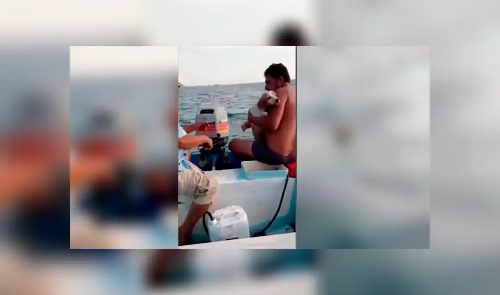 Video es viral en YouTube. El perro había ingerido mucha agua salda y estaba muy agotado, pero afortunadamente fue encontrado por estos pescadores que rápidamente lo rescataron. Foto: Captura. Video es viral en YouTube. El perro había ingerido mucha agua salda y estaba muy agotado, pero afortunadamente fue encontrado por estos pescadores que rápidamente lo rescataron. Foto: Captura.