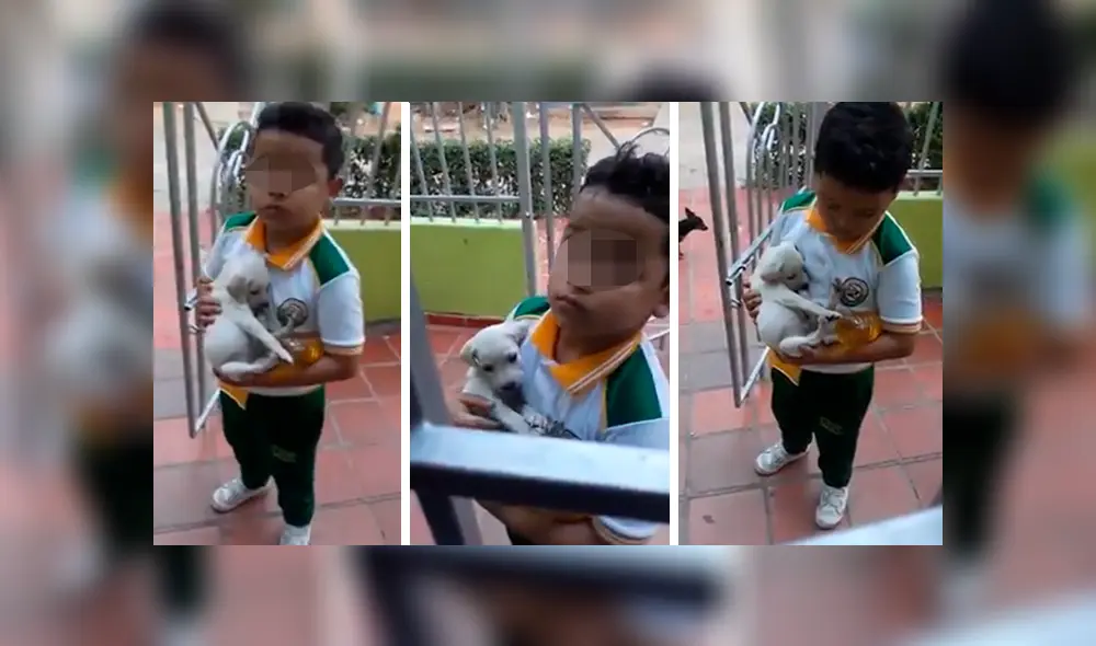En Facebook, una señora mandó a su hijo a comprar a la tienda y él regresó con un indefenso cachorro.