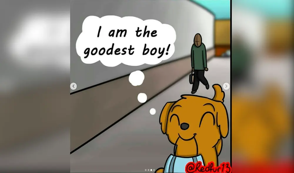 Facebook viral - animales