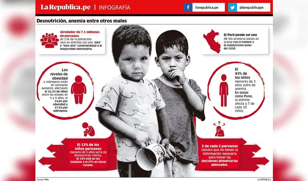 Desnutrición y anemia, entre otros males