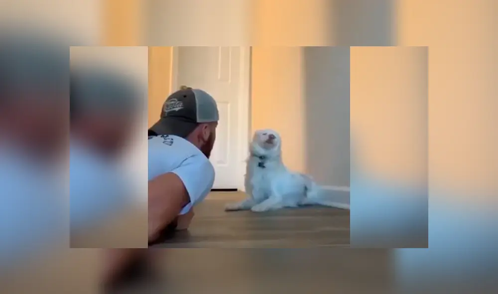 Desliza las imágenes hacia la izquierda para conocer la tierna acción de un joven con su adorada mascota. Desliza las imágenes hacia la izquierda para conocer la tierna acción de un joven con su adorada mascota.