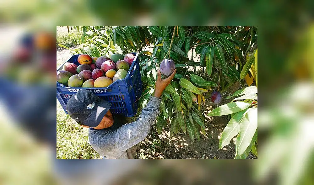 Productos de exportación en riesgo ante crisis hídrica