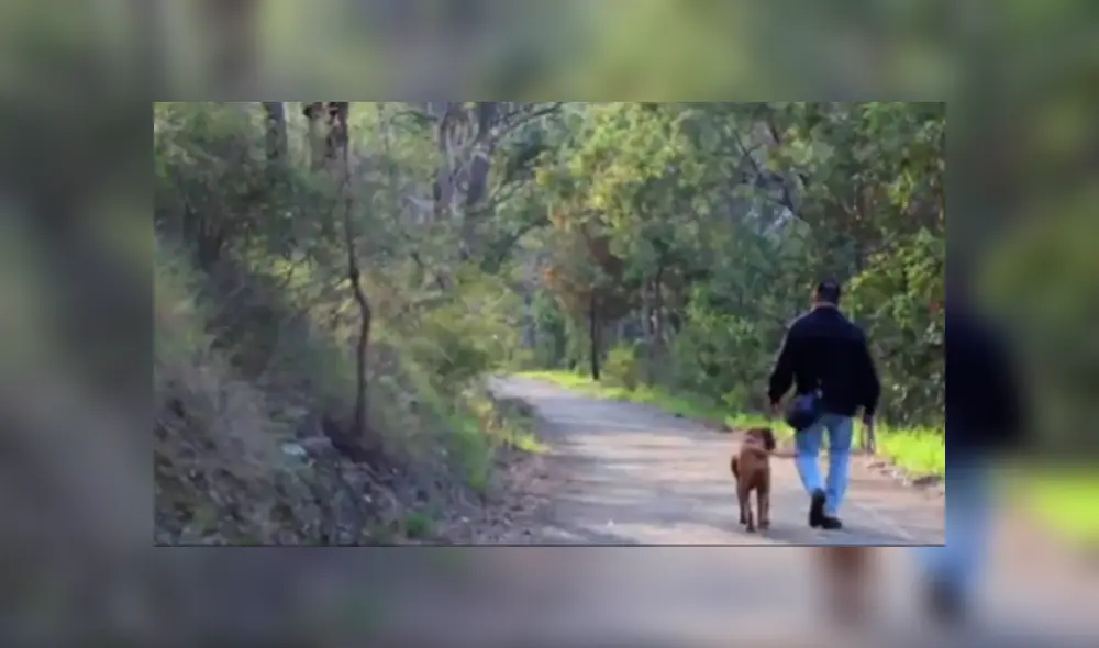 Bombero recata una caja del incendio y descubre que en el interior estaba una adorable criatura se es viral en Facebook. Bombero recata una caja del incendio y descubre que en el interior estaba una adorable criatura se es viral en Facebook.