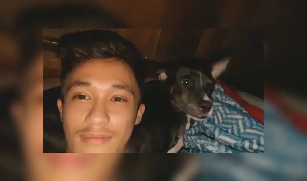 En Facebook, un perro llamó la atención de su dueño por sus singulares movimientos al ritmo de ‘Billie Jean’.
