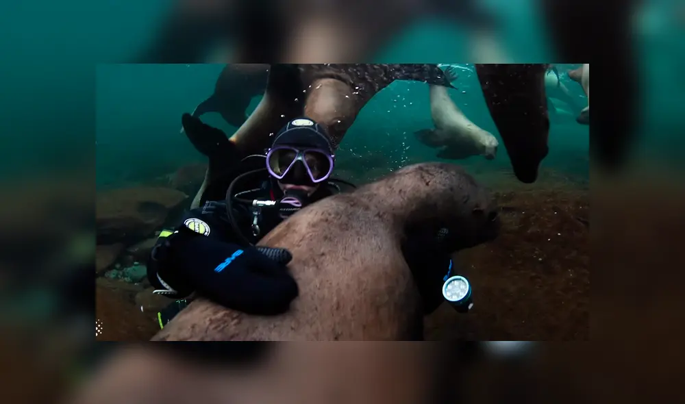 Desliza para ver los momentos más impactantes de este encuentro que se hizo viral en Facebook.