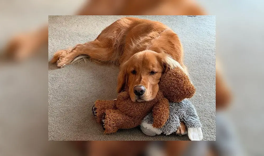 Finley batió el récord mundial que estaba vigente desde el 2003. (Foto: Mail Online)