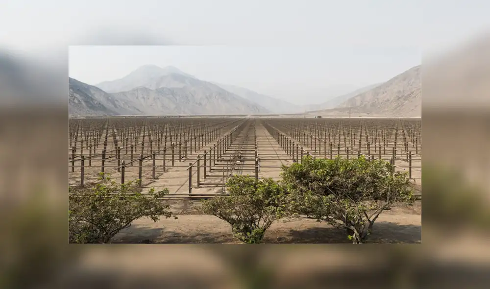 IGP - Ciencia IGP - Ciencia