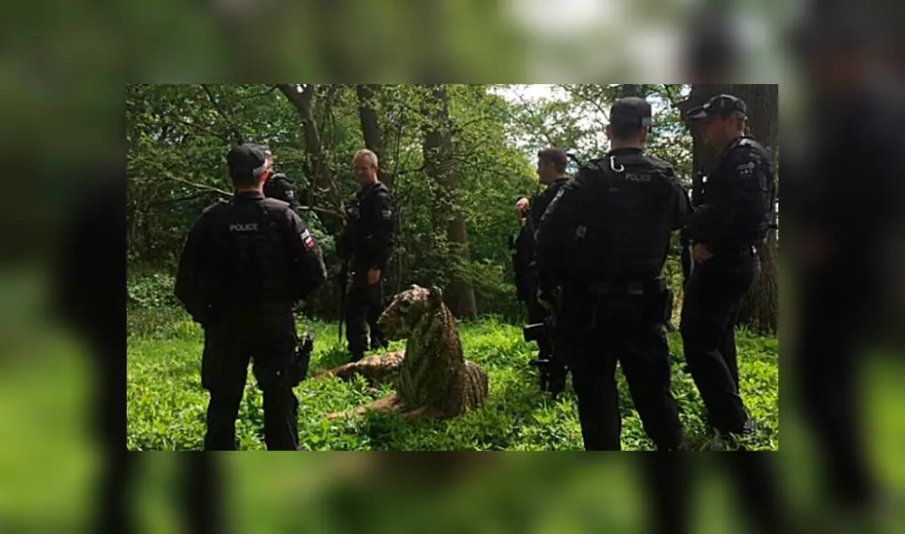 Desliza la imagen de Facebook para ver todas las fotos. Desliza la imagen de Facebook para ver todas las fotos.