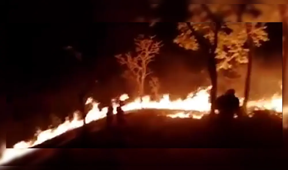 aún se busca información para dar con el responsable del lamentable incidente.