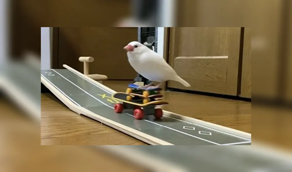 Desliza para ver los detalles del video viral que causa sensación en YouTube. Foto: Captura.