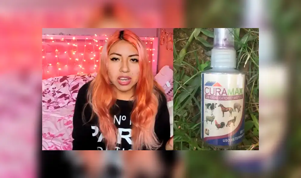 YouTube viral: ¿Qué debe tener la mochila de emergencia para mascotas? [VIDEO]