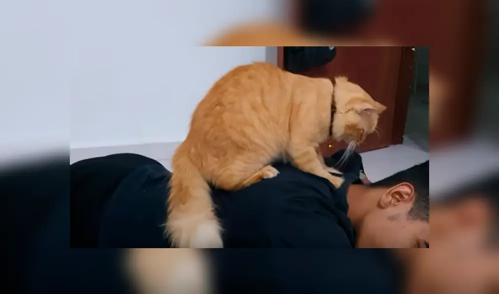 Desliza hacia la izquierda para ver más del video viral