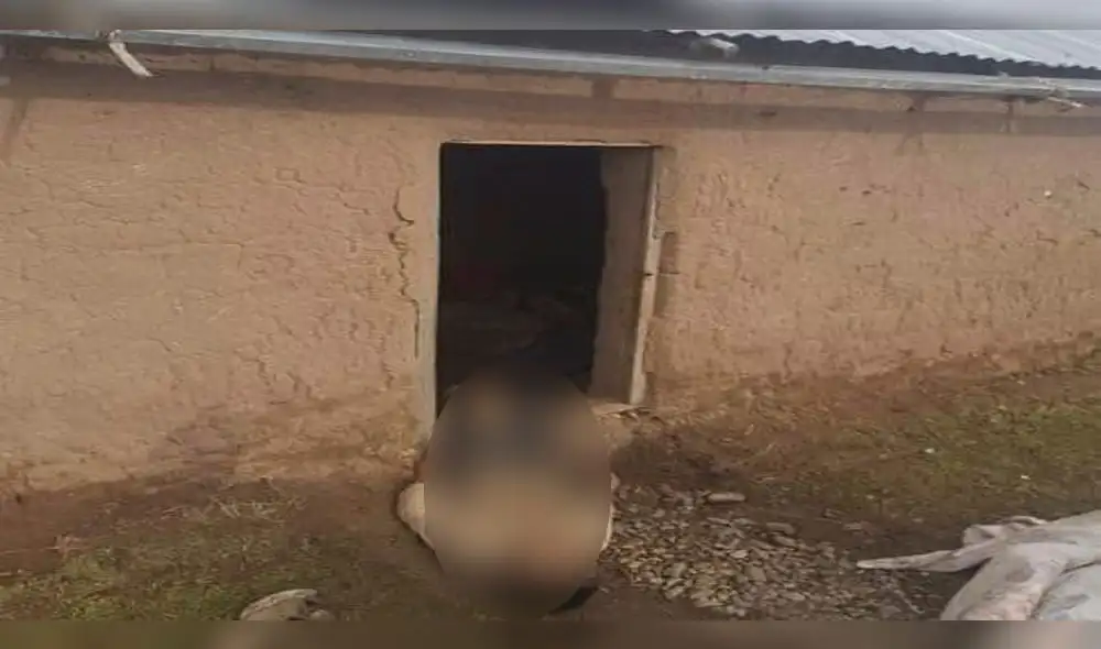 Rayo mata a niño de 9 años en Azángaro. Rayo mata a niño de 9 años en Azángaro.