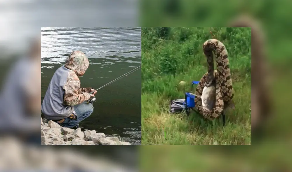 Pescado retira anzuelo de lago, sin sospechar que atraparía a letal criatura devorando a pez [VIDEO]