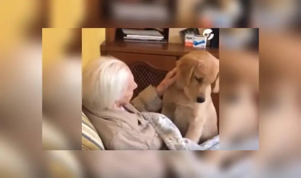Desliza las imágenes para ver más detalles de esta tierna escena que es viral en Facebook.