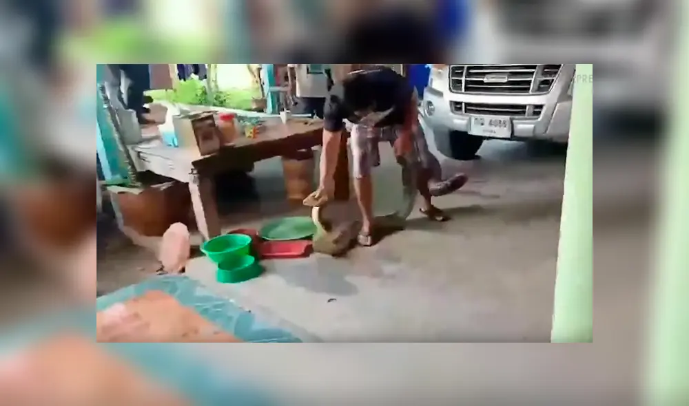 Un hombre publicó un video viral en YouTube el instante en que sacó con sus propias manos a una aterradora criatura que se encontraba viviendo en su auto. Un hombre publicó un video viral en YouTube el instante en que sacó con sus propias manos a una aterradora criatura que se encontraba viviendo en su auto.