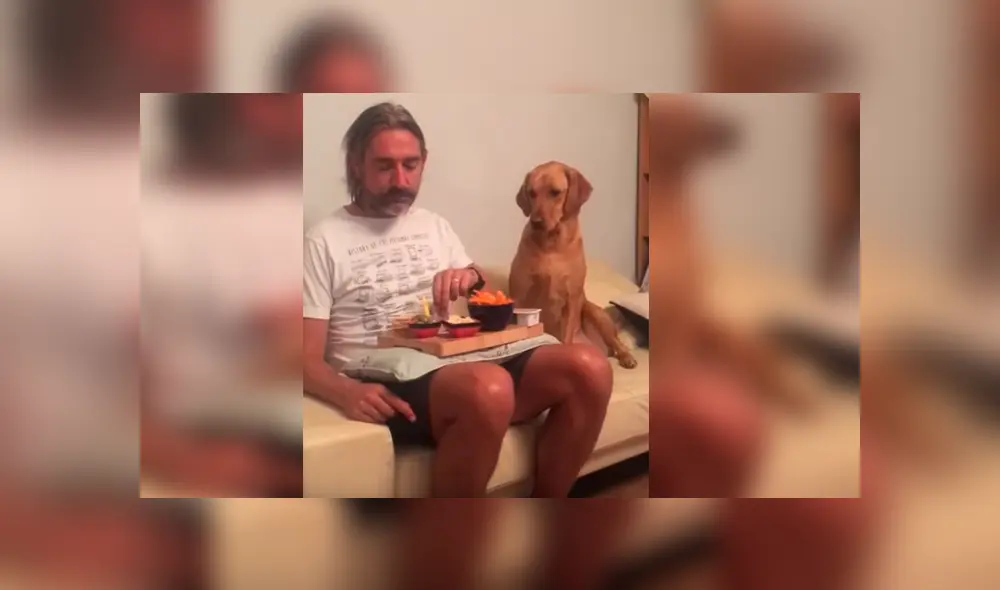 El can hizo reír a miles con su orgullosa conducta para evitar que su dueño se dé cuenta de que quería un bocado El can hizo reír a miles con su orgullosa conducta para evitar que su dueño se dé cuenta de que quería un bocado