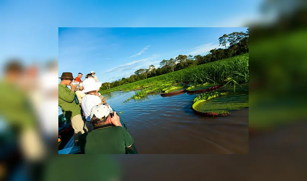 Allpahuayo  Mishana, el santuario de la biodiversidad selvática