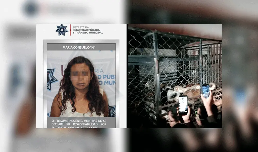Mujer acusada de matar y secuestrar perros fue liberada por las autoridades