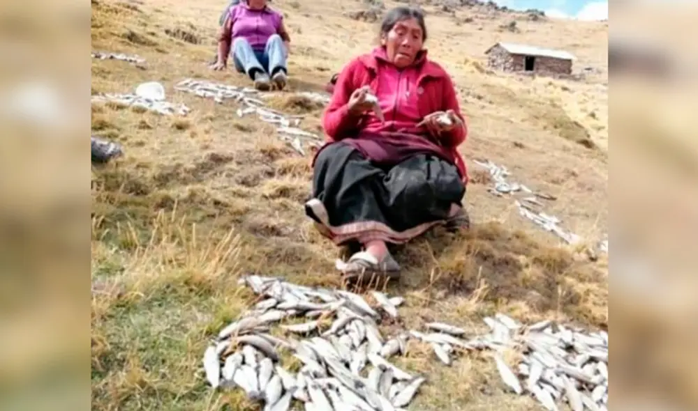 Hecho se registró en el distrito de Challhuahuacho. Fotocaptura: Facebook.