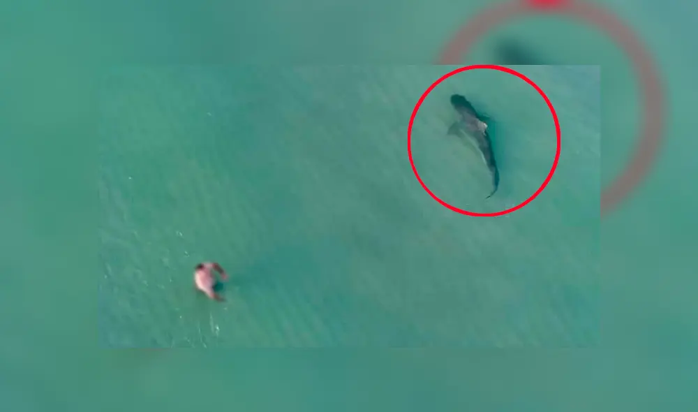 Facebook: aterradora criatura paraliza a bañista a plena luz del día [VIDEO] 