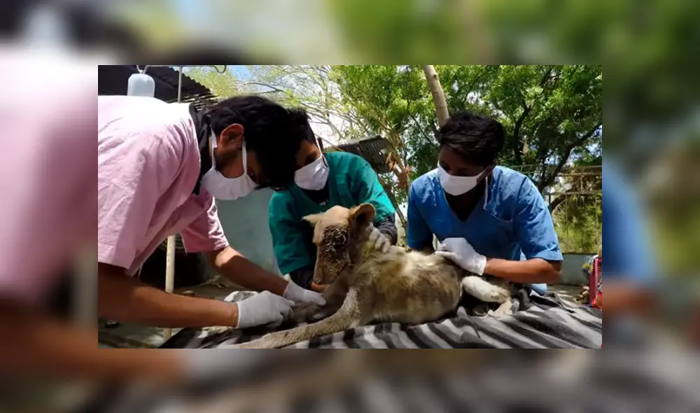 Desliza hacia la izquierda para ver las imágenes del viral de YouTube. Desliza hacia la izquierda para ver las imágenes del viral de YouTube.