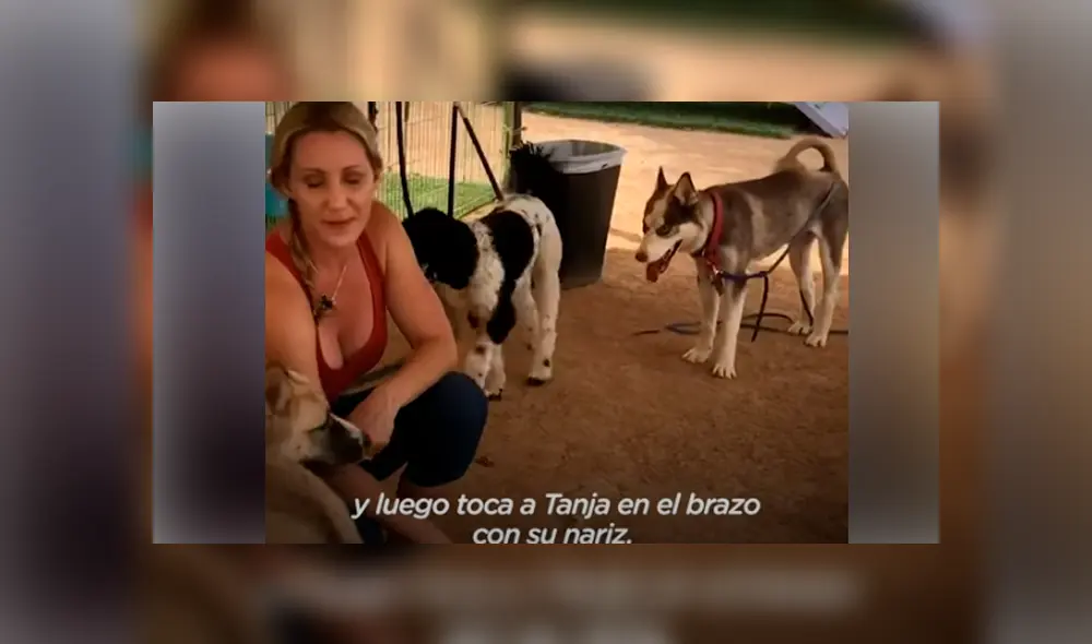 Desliza hacia la izquierda para ver las imágenes del viral de YouTube. Desliza hacia la izquierda para ver las imágenes del viral de YouTube.
