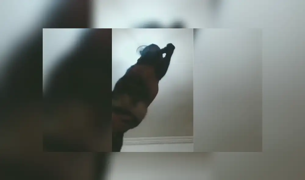 Desliza a la izquierda para conocer más sobre este nuevo viral de Facebook. Foto: Captura.